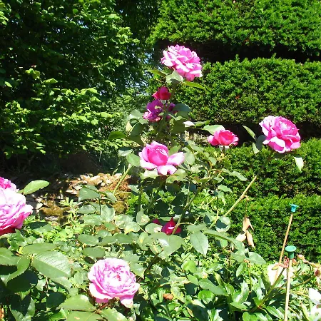 The Hill Bed & Breakfast Windermere