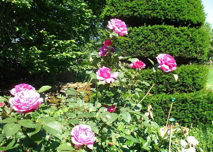 The Hill Bed & Breakfast Windermere