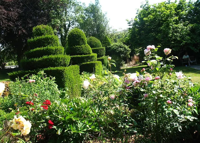 Bed & Breakfast The Hill 4*